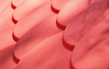 Muckton plastic roof costs